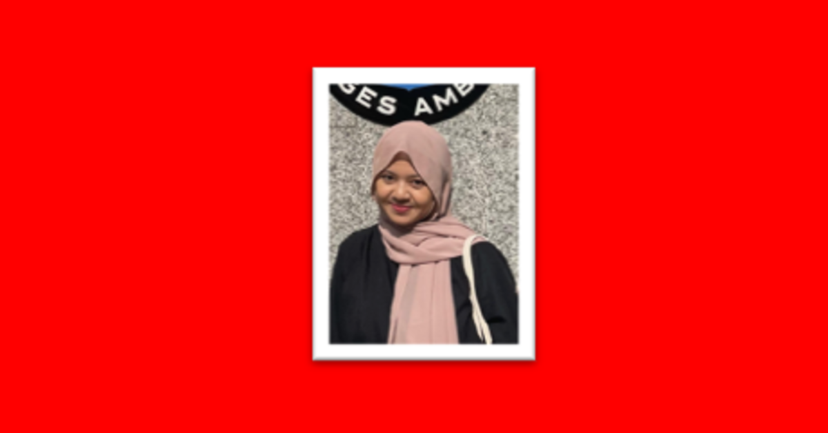 Antara Fiksi dan Ancaman: Mengurai Isu Keamanan di Balik Bendera Bajak Laut One Piece