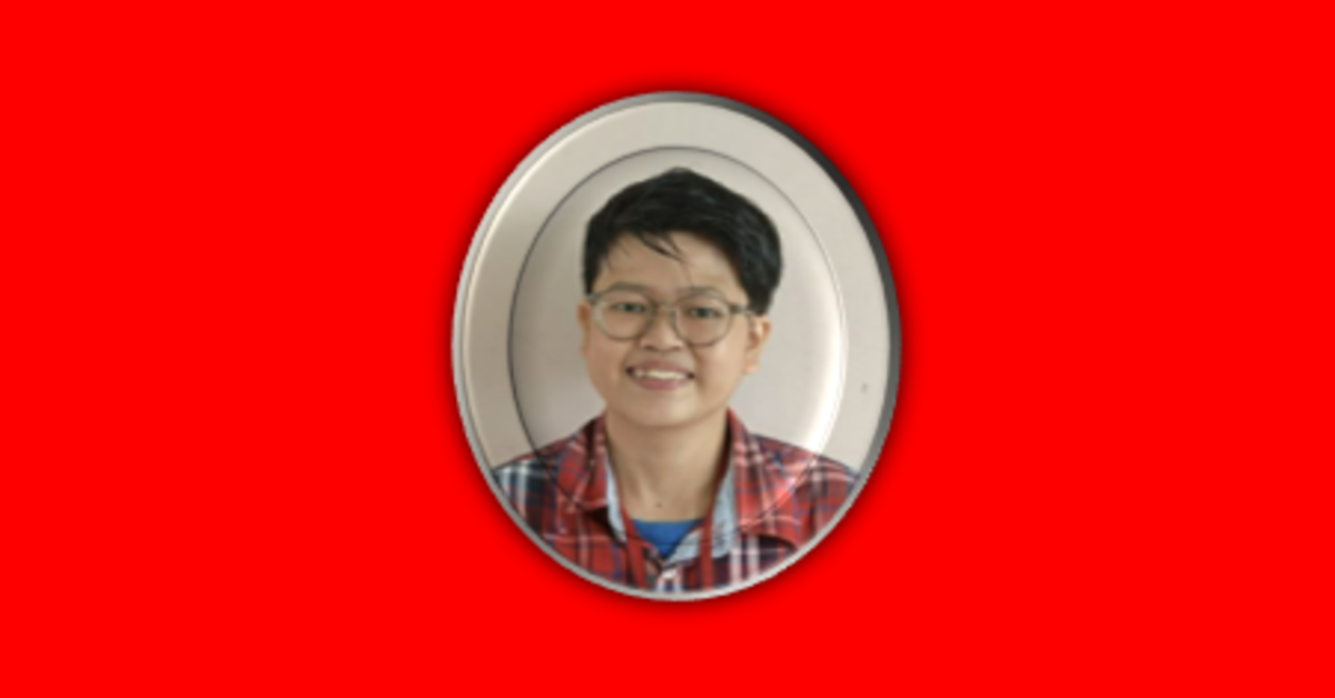 Bendera One Piece: Dari Bendera, Hingga Menjadi Simbol Perlawanan dan Ancaman Keamanan Negara