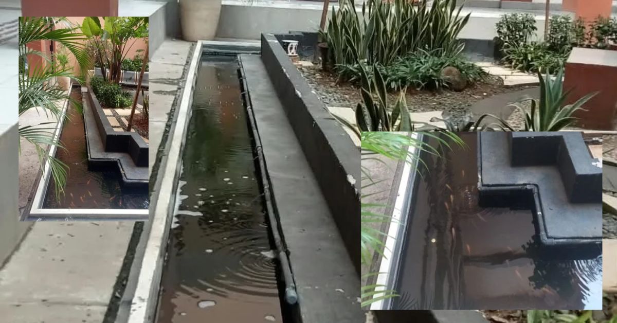 Kolam Ikan di Kampus Psikologi UIN Jakarta Ini Jadi Bagian dari Upaya Menjaga Keanekaragaman Hayati
