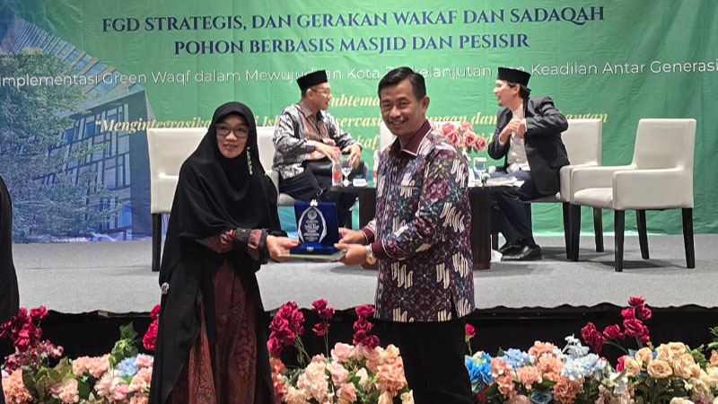 dsn mui 1