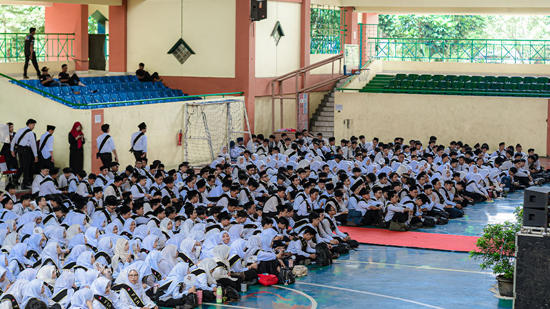 pbak1