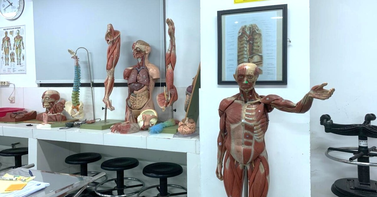 ALIF: Anatomy Learning & Innovation Facility