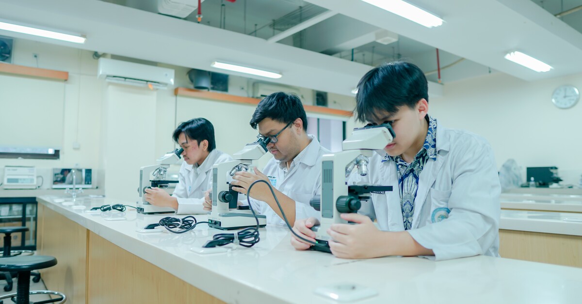 Integrated laboratory with the best equipment to support student practicals and research