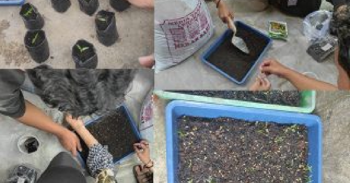 Mahasiswa BPI Kelompok 12 Praktikum Profesi Makro 2022 Gelar “Penanaman Bibit Cabai”