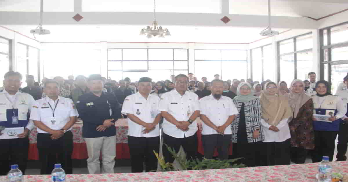 Kolaborasi213