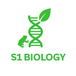 S1 BIOLOGI E