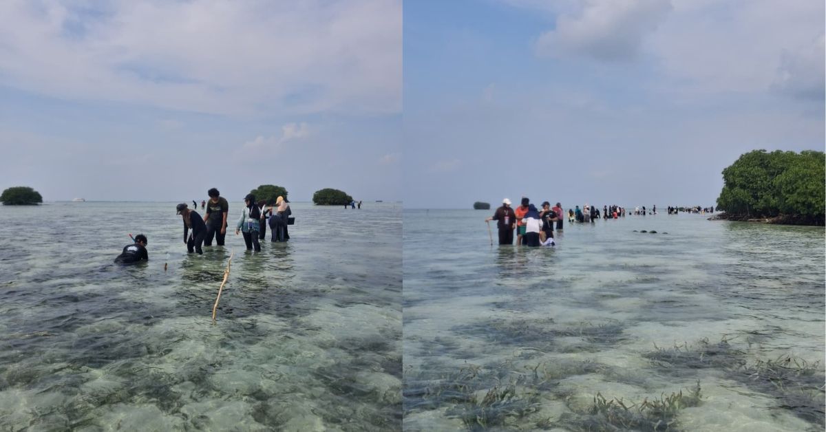 Fieldtrip Ptaktikum Sistematika Hewan Prodi Biologi