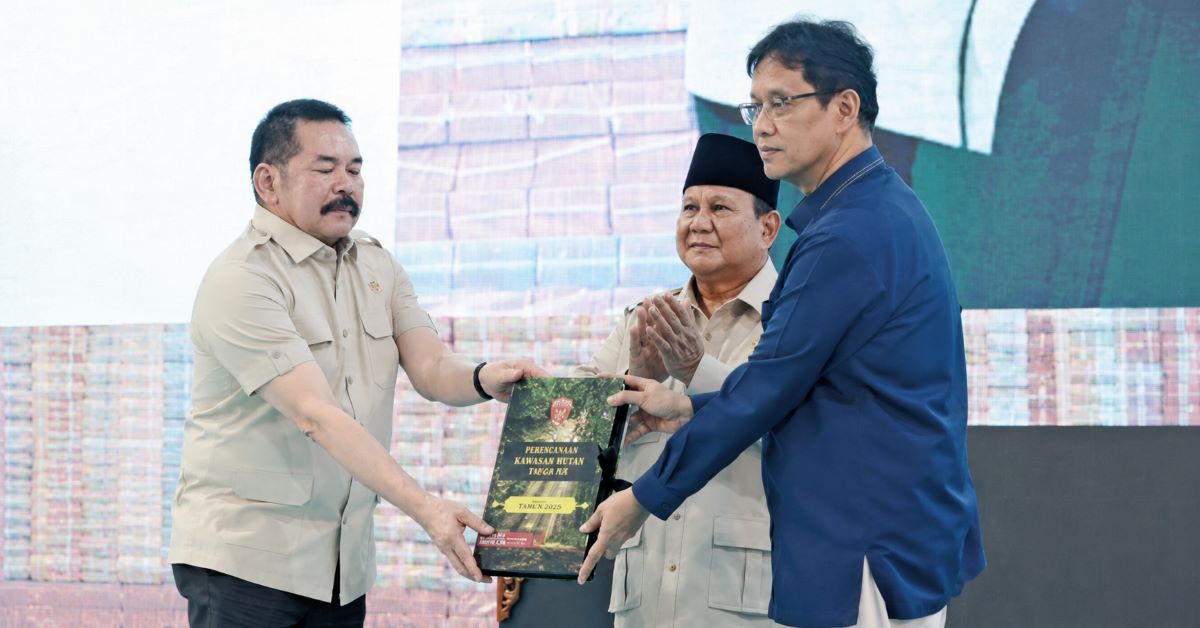 Fair, Just Law Enforcement: Govt's massive crackdown on forestry violations keeps within legal bounds 