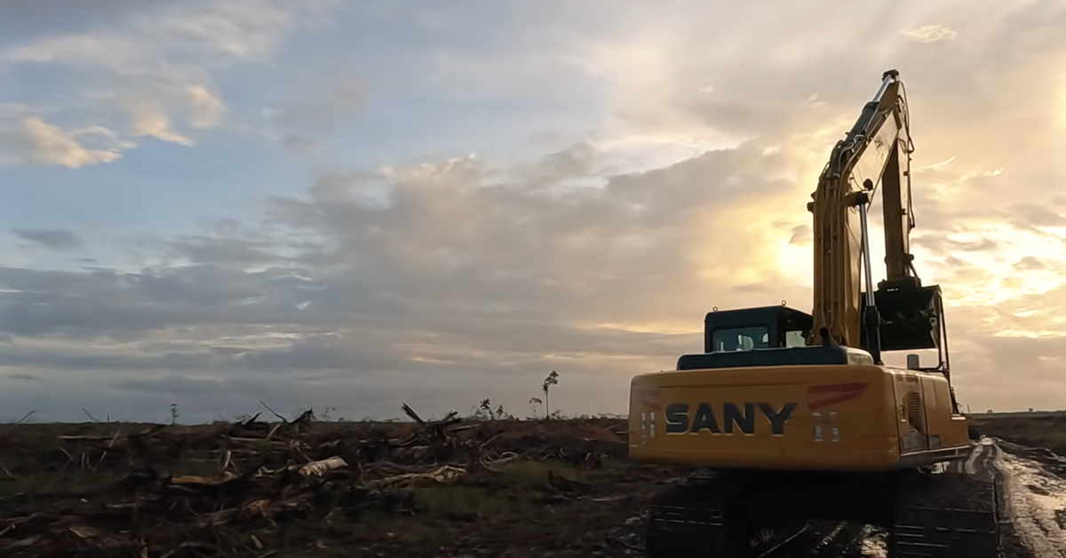 Fair, Just Law Enforcement: Govt's Massive Crackdown on Forestry Violations Keeps within Legal Bounds 