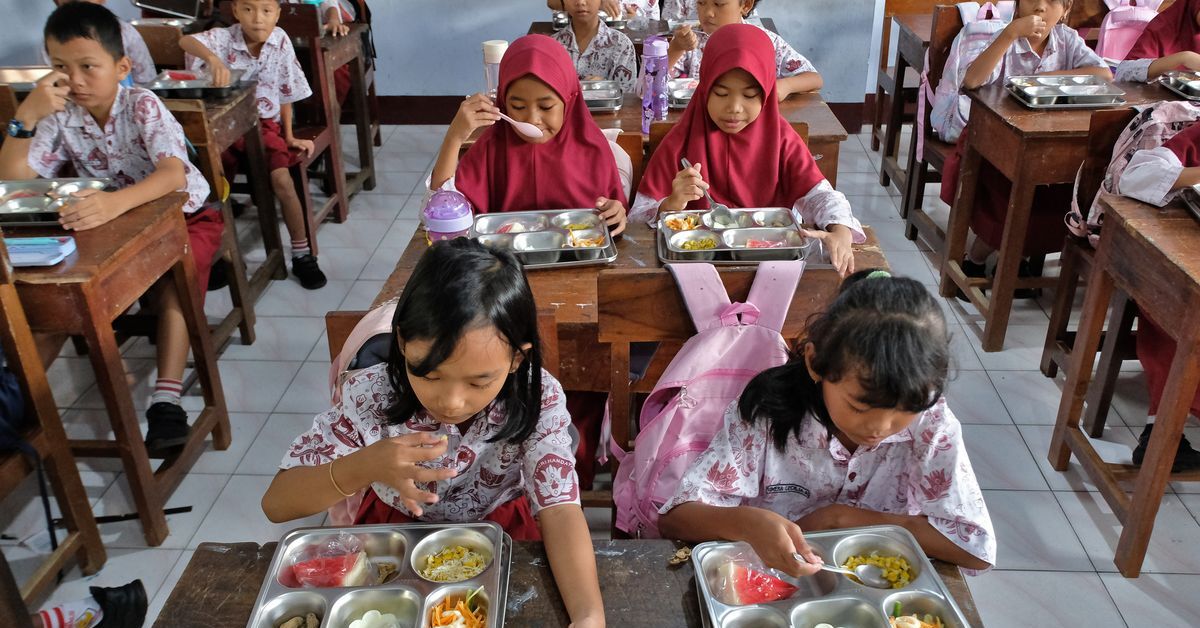 Program MBG: Dihentikan atau Disempurnakan?