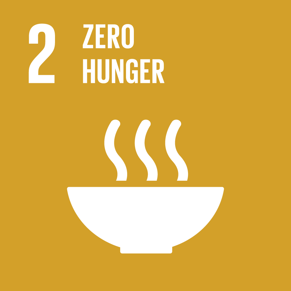 SDG 2 Zero Hunger
