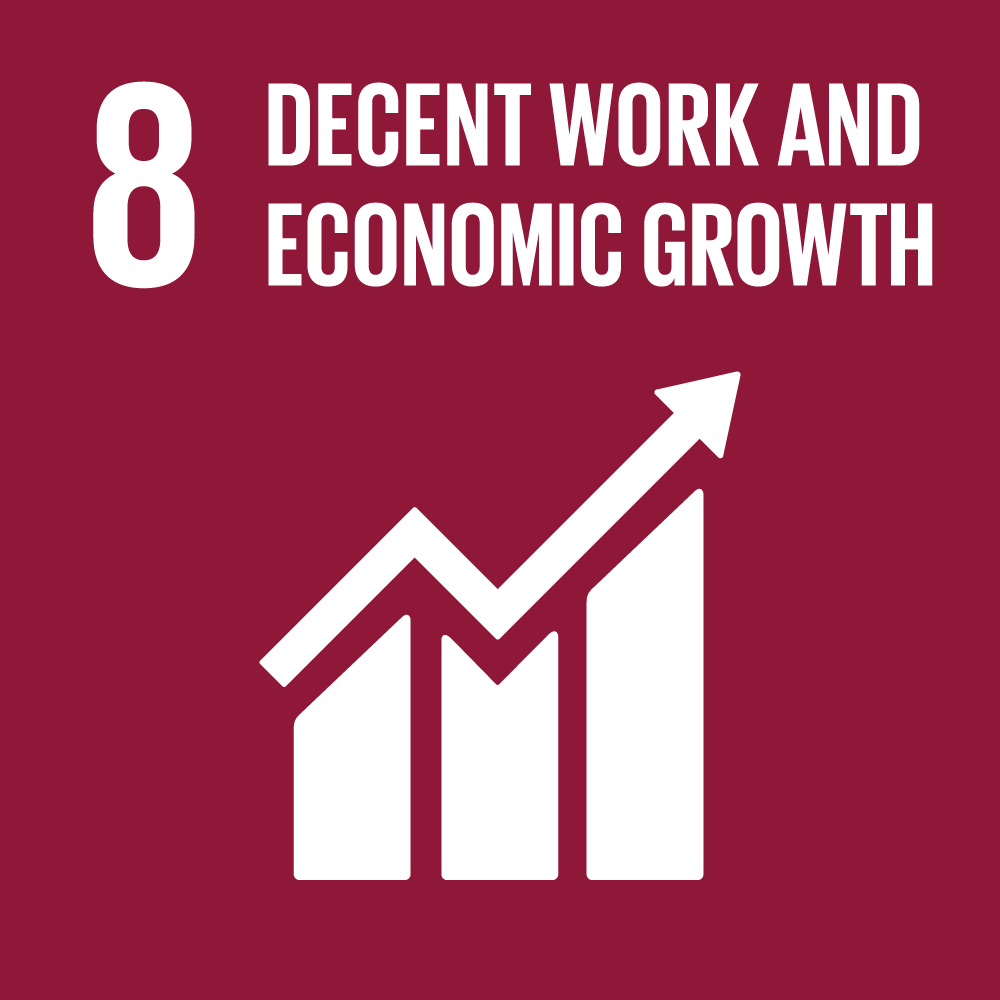 SDG 8 Decent Work and Economic Growth