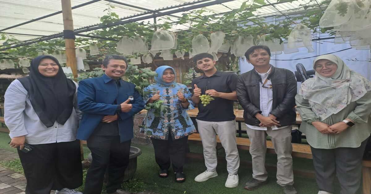 Mahasiswa International Summer Class 2025 Petik Anggur di Komunitas UMKM Kota Tangerang Selatan