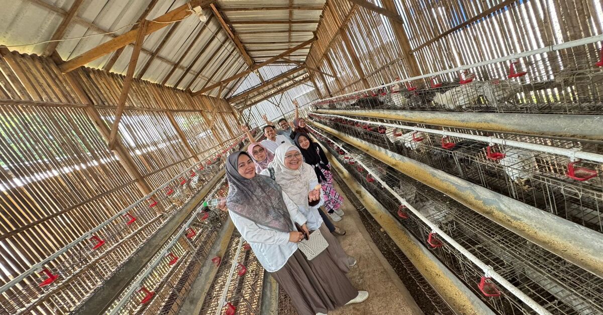 WhatsApp Image 2026-04-14 at 07. (1)