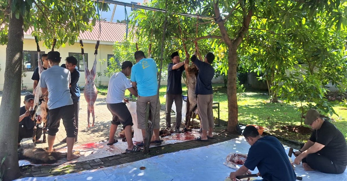 Pererat Tali Silaturahmi dan Kepedulian, FEB UIN Jakarta Tebar Hewan Kurban untuk Karyawan dan Warga Sekitar