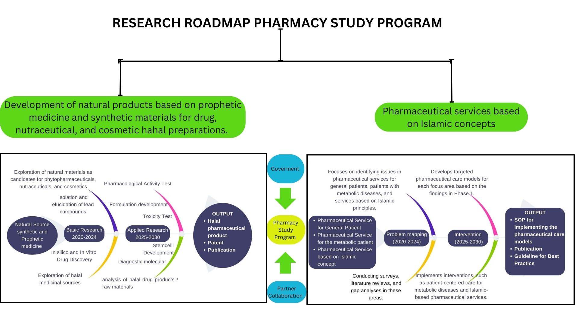 Research Roadmap Pharmacy Study Program